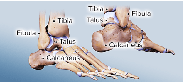 Ankle Sprain Range of Motion Exercises